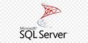 Picture for category Microsoft SQL Server Database Instance